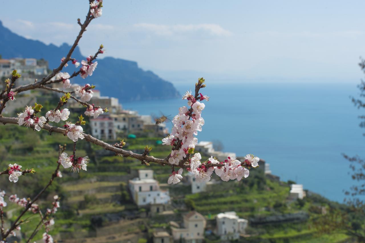 Apartamento Casa Pina Amalfi Exterior foto